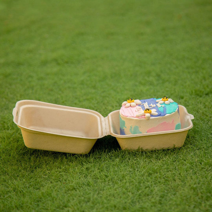 EcoPakOnline Bagasse Bento cake box/ Lunch box