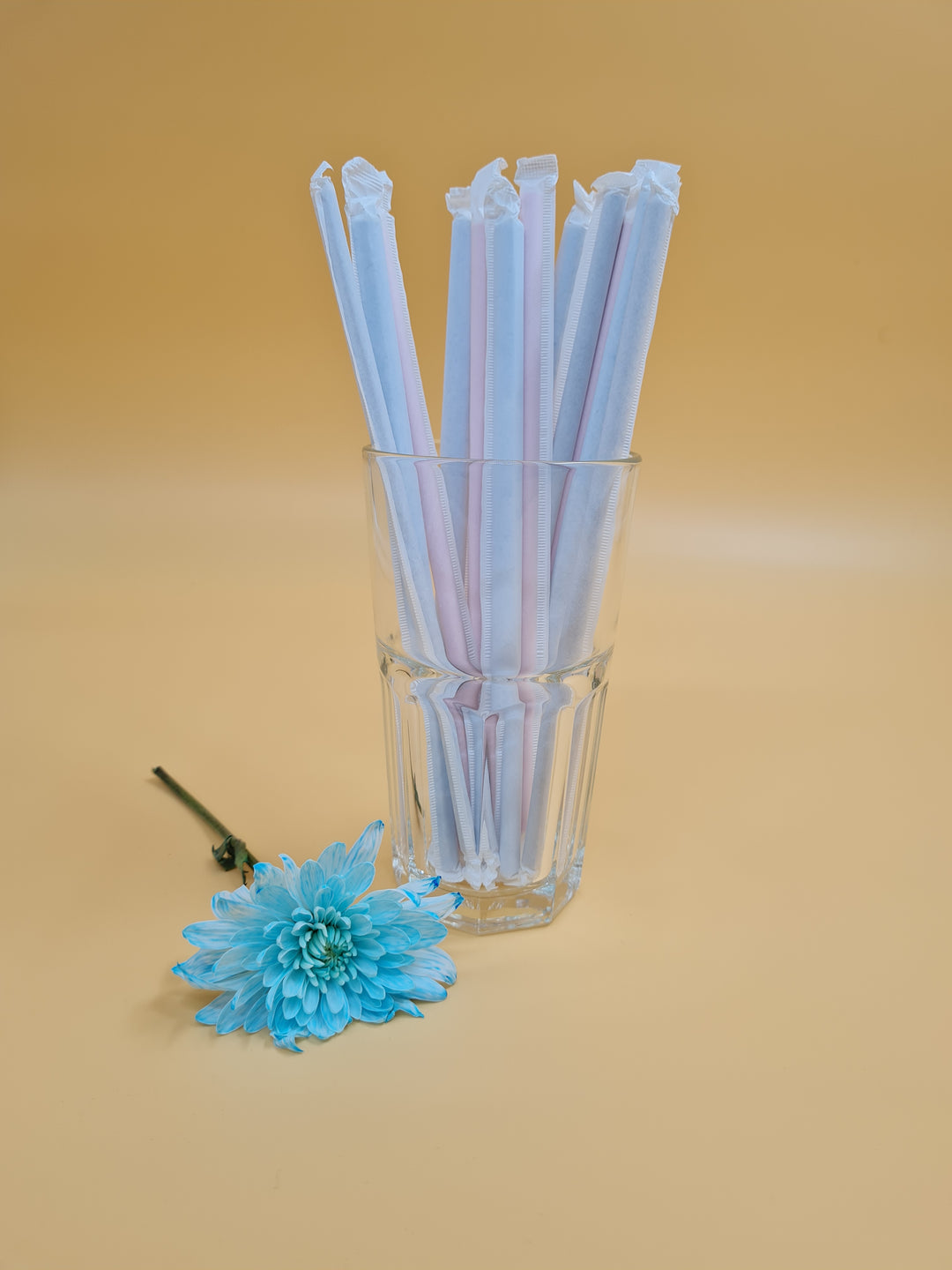 EcoPakOnline 6mm paper straw wrapped Black