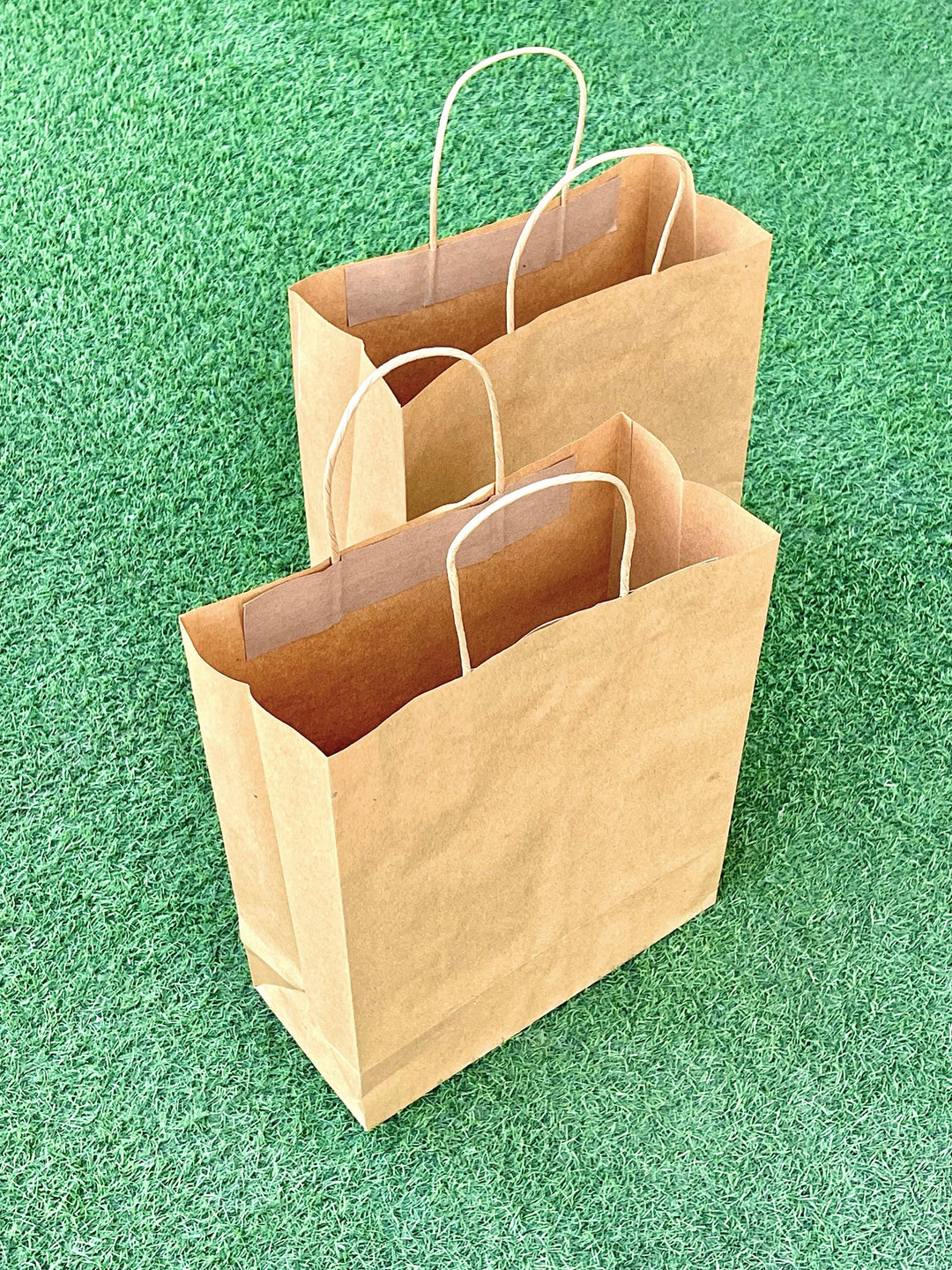 EcoPakOnline Kraft shopping/ Gift bag with twisted rope