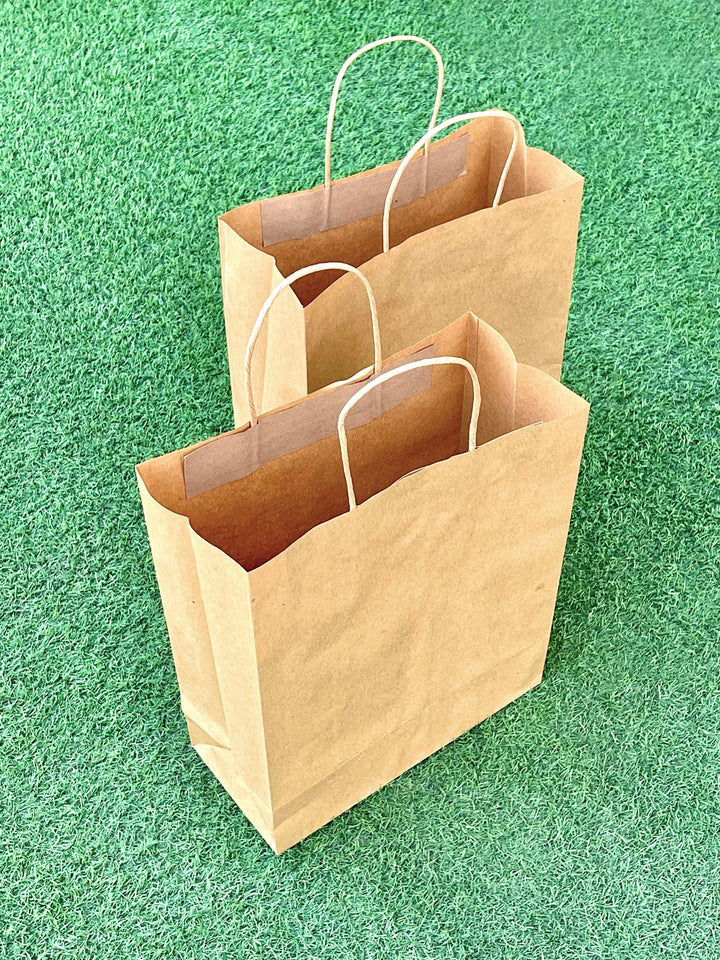 EcoPakOnline Kraft shopping/ Gift bag with twisted rope