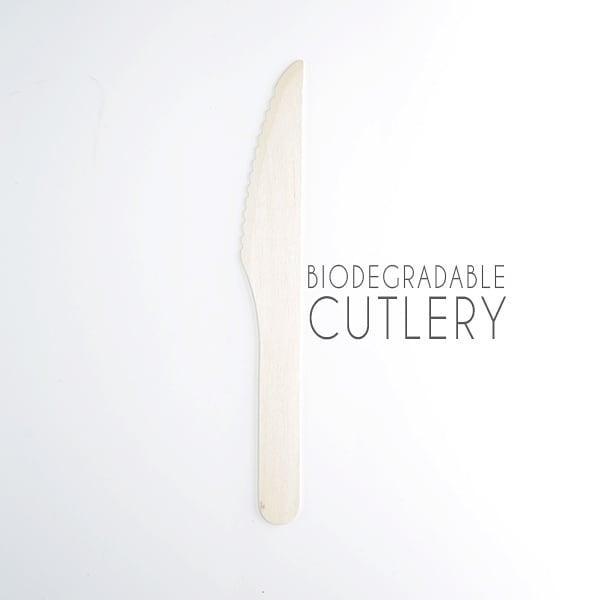 EcoPakOnline Disposable Cutlery 160mm birchwood disposable DINNER Knife