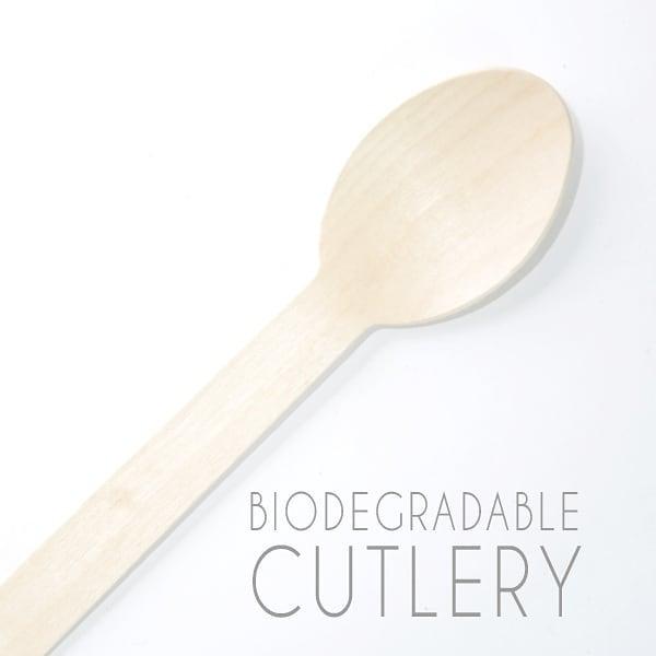 EcoPakOnline 160mm birchwood disposable DINNER Spoon